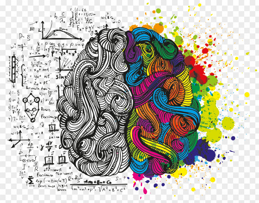 Creative Lateralization Of Brain Function Human Creativity PNG