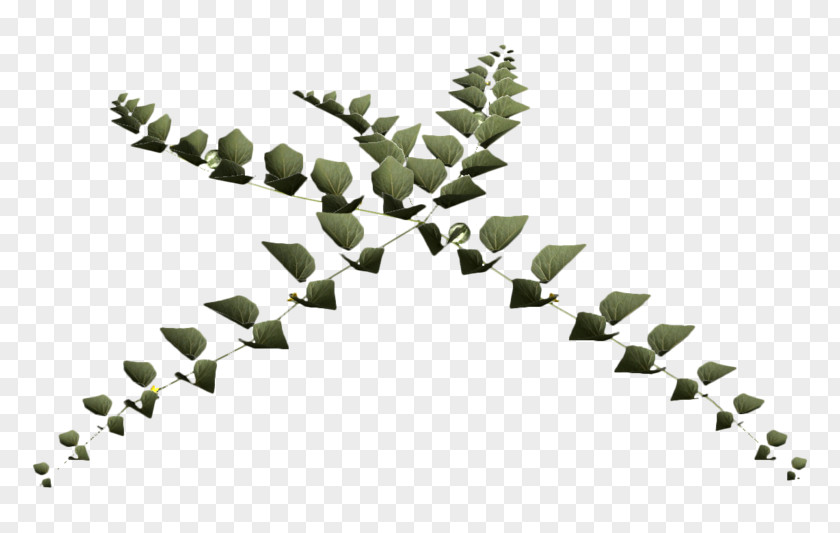 Leaf Twig Plant Stem Line Font PNG