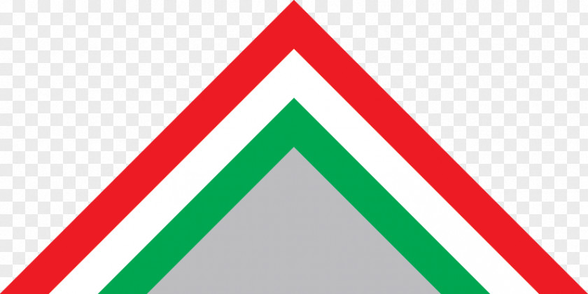 Military Aircraft Insignia Triangle Airplane Flag Of Hungary PNG