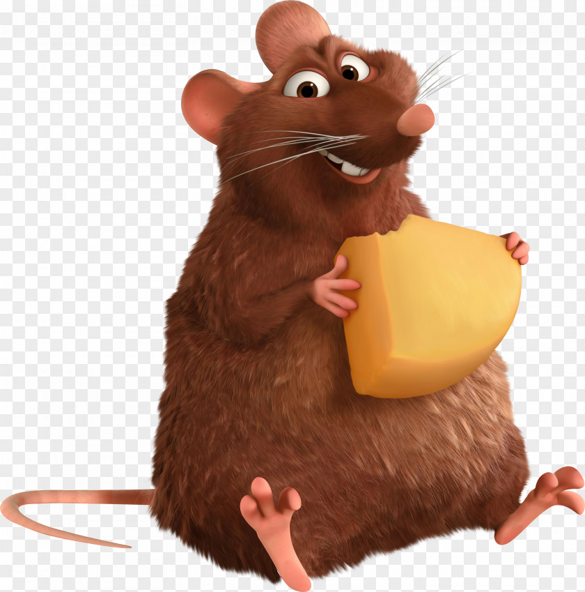 Rat Hollywood Film Still The Walt Disney Company Pixar PNG