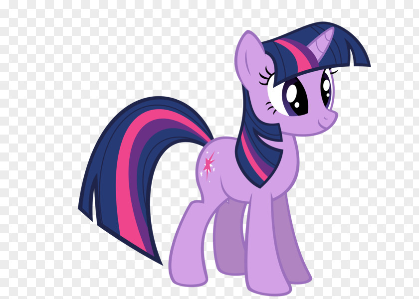 Vindicate Twilight Sparkle Pinkie Pie Rarity Rainbow Dash Pony PNG