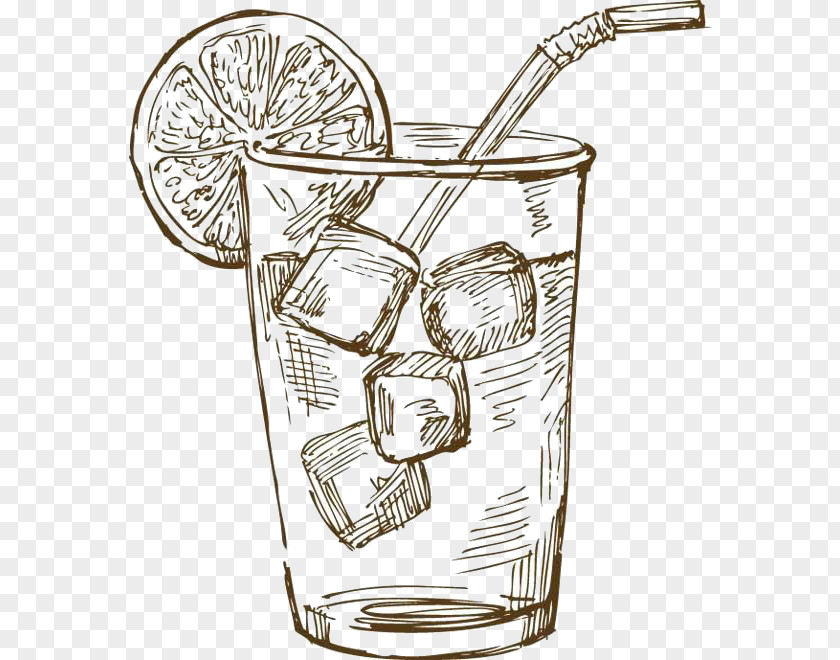 Cocktail Fizzy Drinks Drawing Illustration PNG