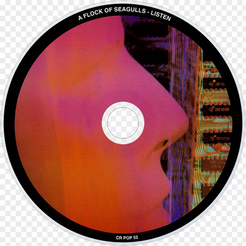 Flock Compact Disc A Of Seagulls Listen Dream Come True DVD PNG
