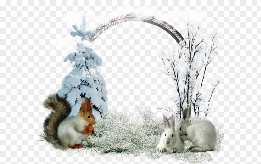 Game Gui Domestic Rabbit Saying Winter December PNG