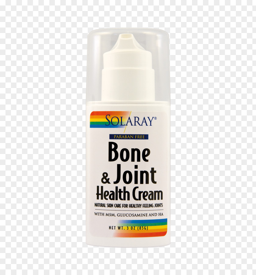 Health Joint Capsule Arthritis Bone PNG
