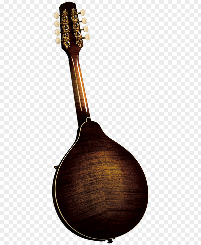 Musical Instruments Mandolin Musician Bağlama F-lyuk PNG