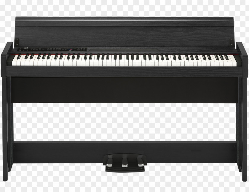 Piano Digital KORG LP-380 Musical Instruments PNG