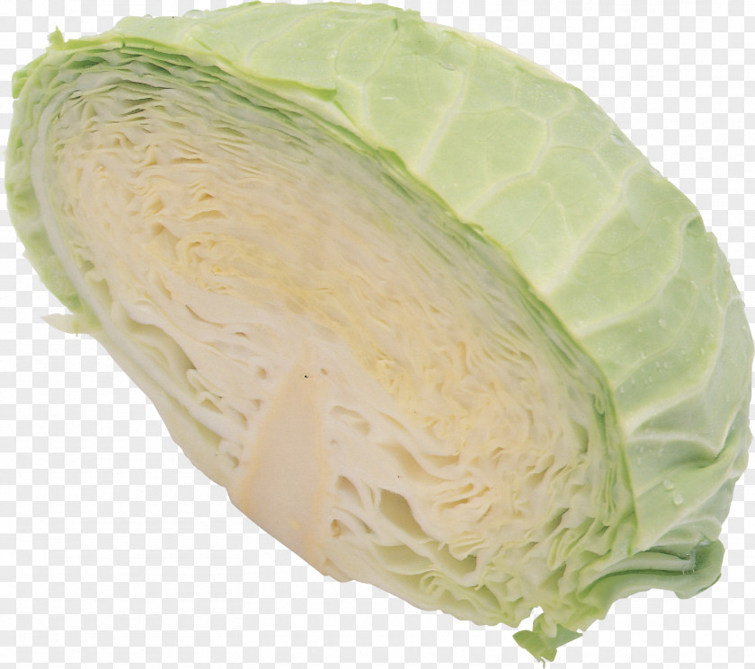 Cabbage Image Kale Vegetable PNG