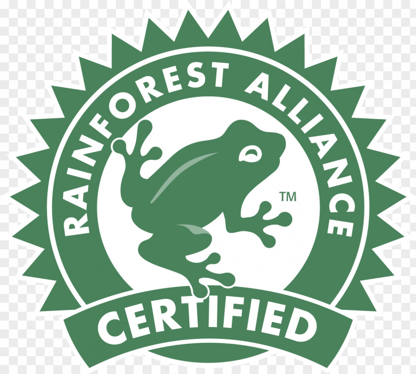 Coffee Rainforest Alliance Sustainability Certification Organization PNG