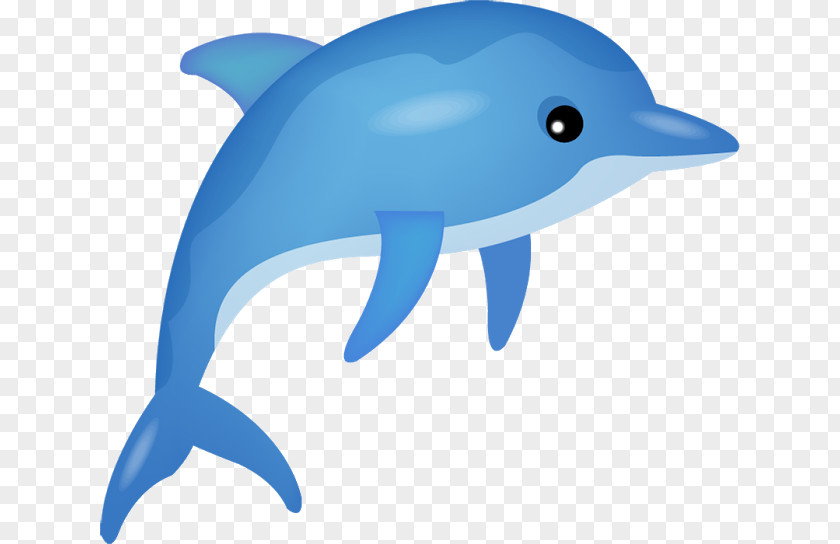 Dolphin Vector Graphics Clip Art Image Cartoon PNG