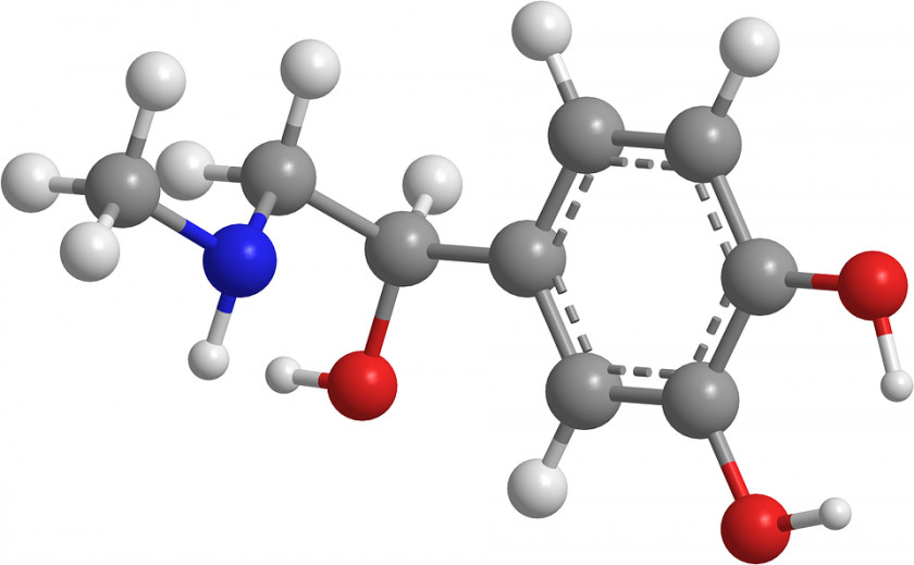 Iitjee Particle Physics Organic Chemistry Science Carboxylic Acid PNG