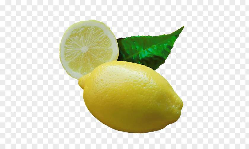 Lemon Juice Sweet Key Lime Persian PNG