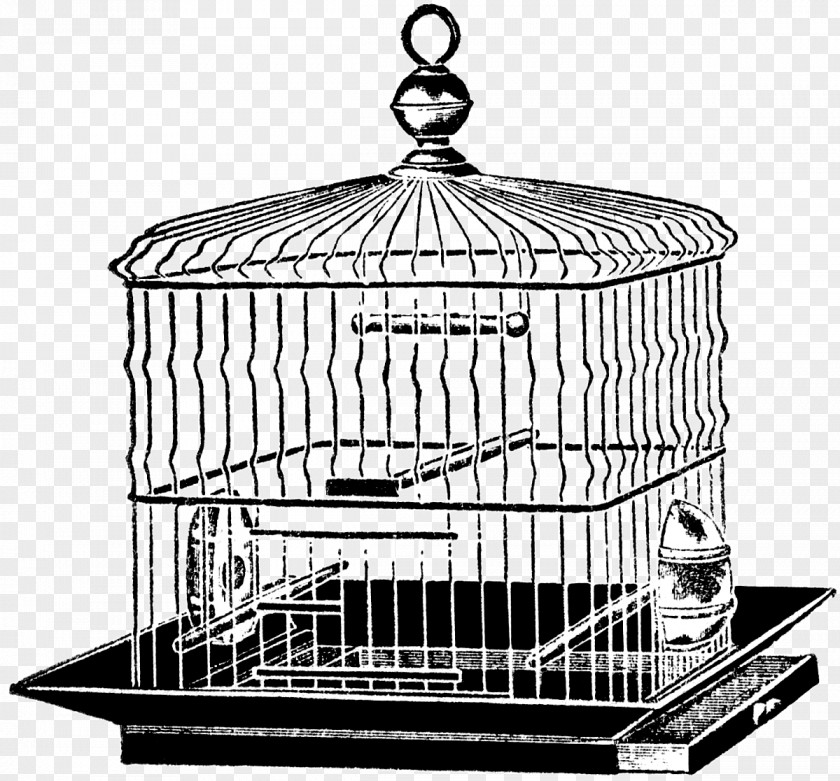Rusty Cage Product Design Basket Black PNG