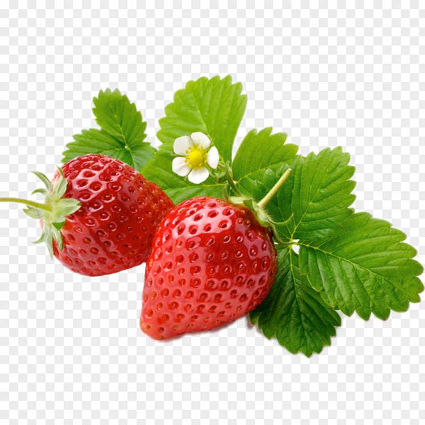 Strawberry Frozen Yogurt Fruit Oil PNG