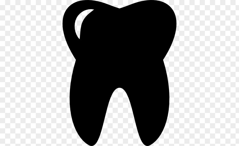 Tooth Vector Molar Human Dentistry PNG