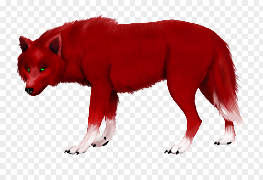 Beautify The Soul With Civilization Red Fox Wolf Gray Fur Snout PNG