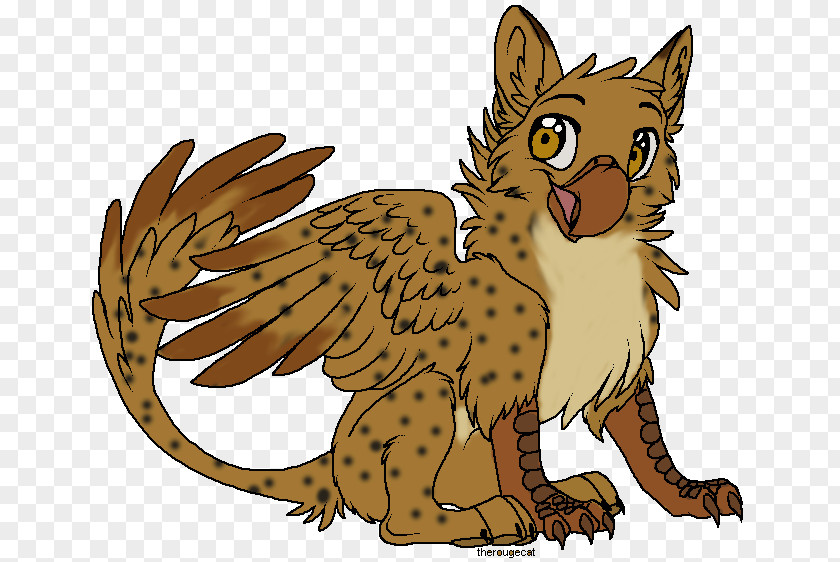 Lynx Art Whiskers Big Cat Owl Red Fox PNG