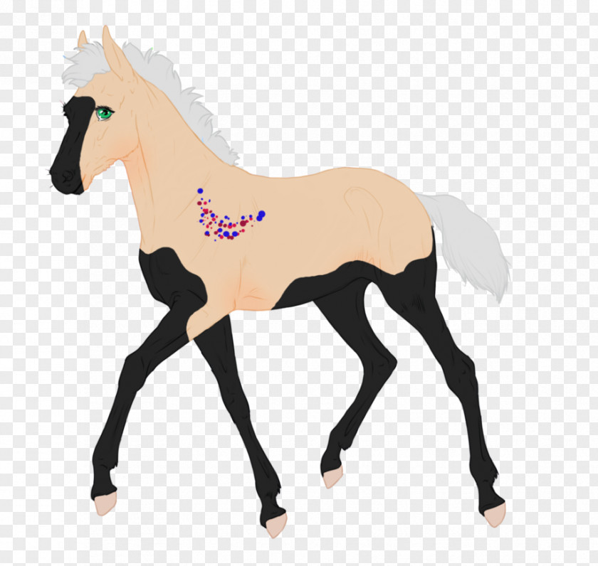 Mustang Foal Pony Colt Stallion PNG