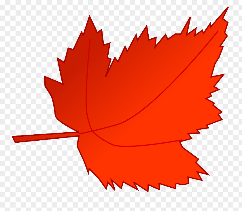 Pictures Of Maple Leaves Autumn Leaf Color Red Clip Art PNG