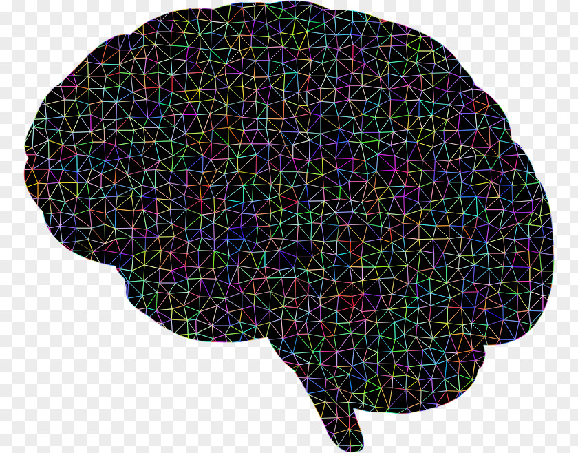 Polygonal Brain Polygon Neuron Clip Art PNG