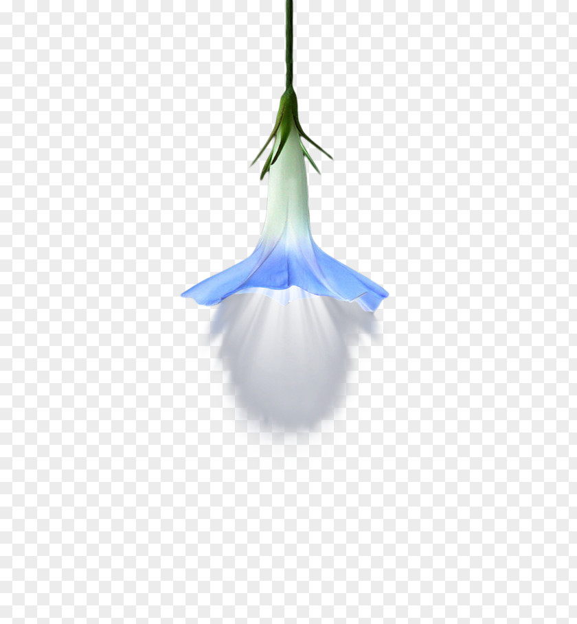 Creative Flower Bulbs,decoration Incandescent Light Bulb Lamp PNG