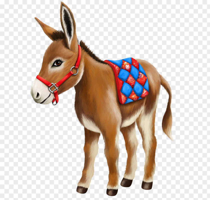 Donkey Horse Mule Clip Art Mare PNG