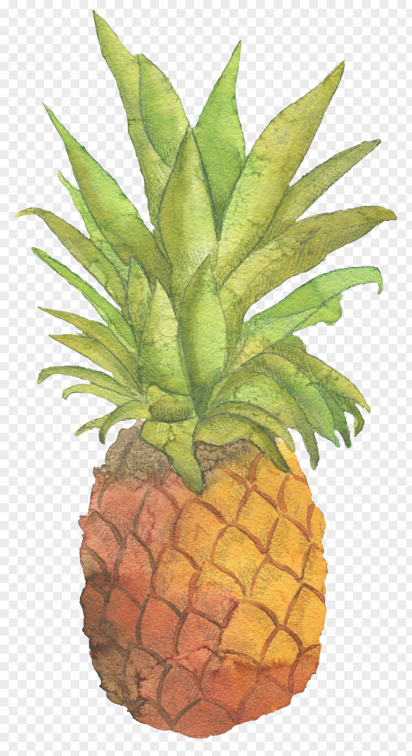 Hand-painted Pineapple T-shirt Sticker Zazzle Fruit PNG