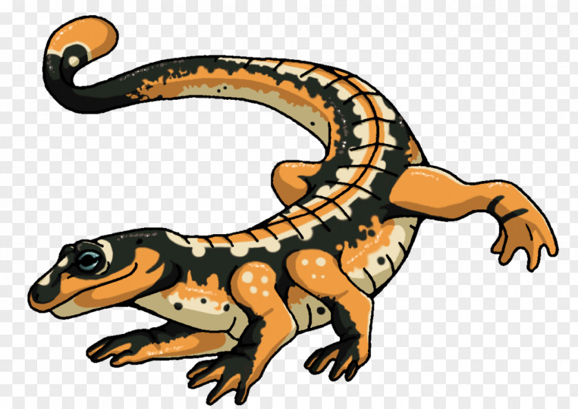 Master Lost Cap Gecko Lizard Toad Fauna Terrestrial Animal PNG
