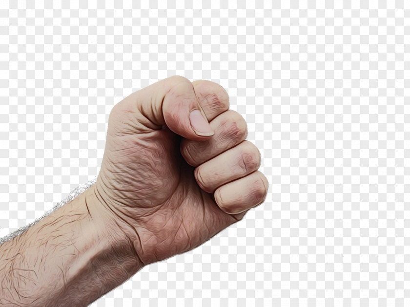 Wrist Sign Language Finger Hand Thumb Gesture Arm PNG