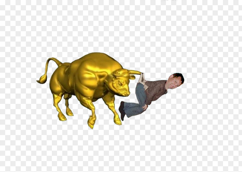 Bull Stock Photography Drawing PNG