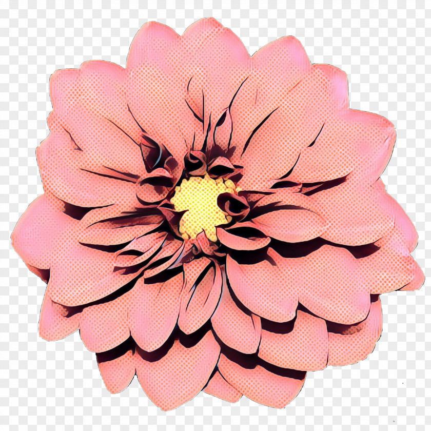 Daisy Family Artificial Flower Flowers Background PNG