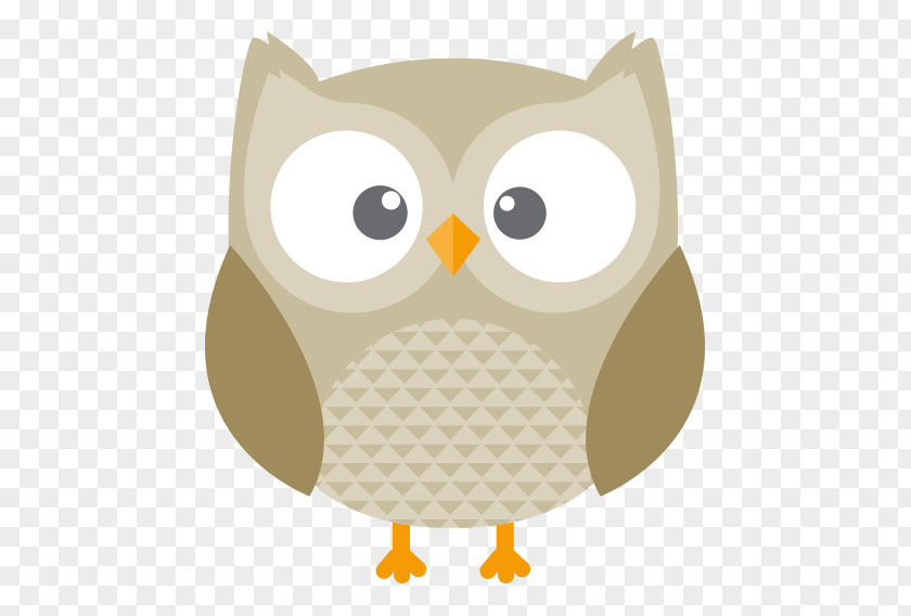 Eastern Screech Owl Bird Great Horned Clip Art PNG