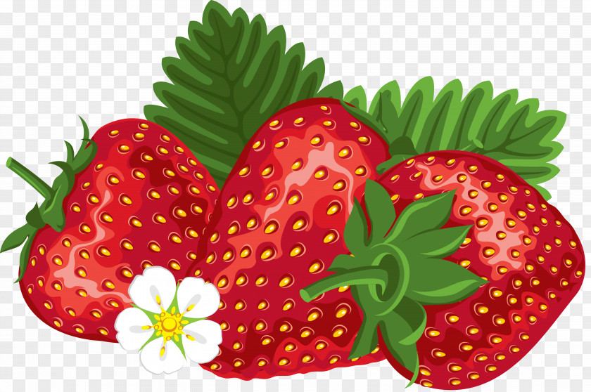 Grape Juice Strawberry Pie Shortcake Clip Art PNG