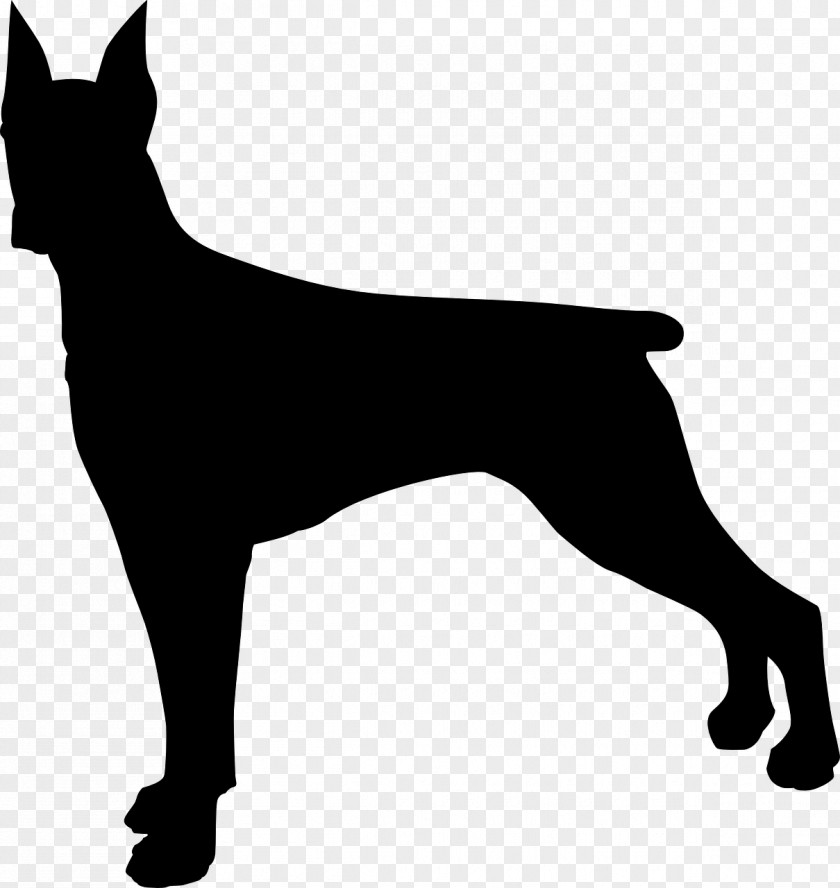 Vector Of Solar Body Pathogens Dobermann Miniature Pinscher Clip Art Silhouette PNG