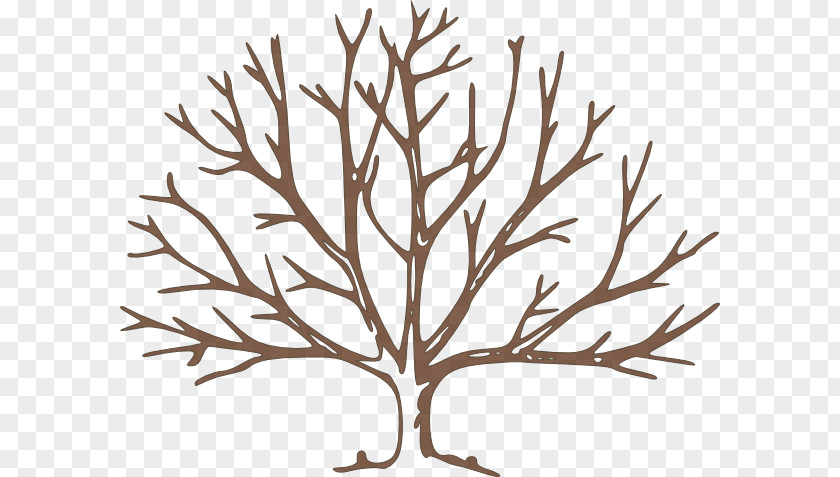 Bare Cliparts Tree Free Content Clip Art PNG
