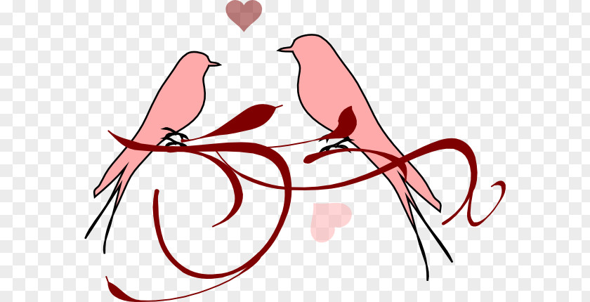 Bird Lovebird Clip Art PNG