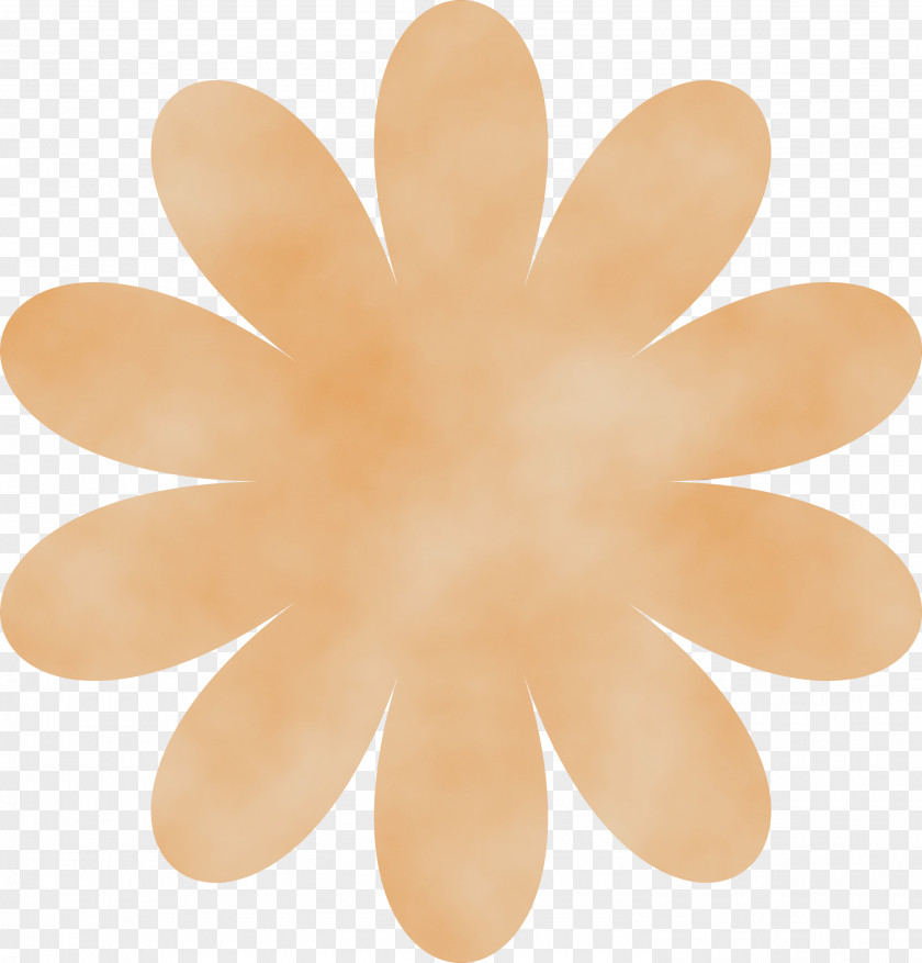 Blog Chamomile Flower Drawing Kibunlog PNG