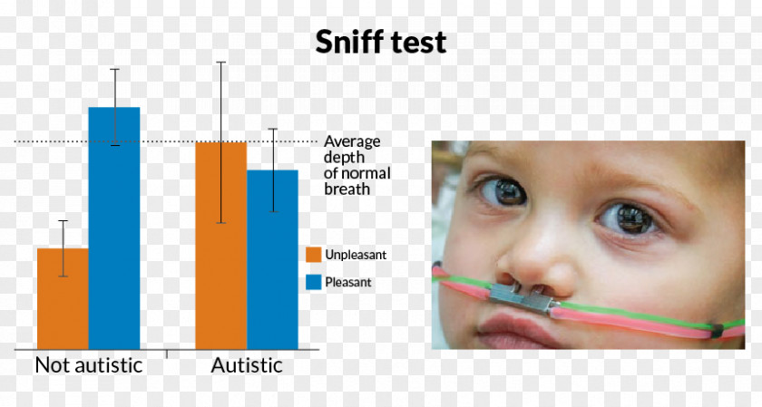 CHILDREN STUDYING Nose Chin Eyebrow Forehead PNG