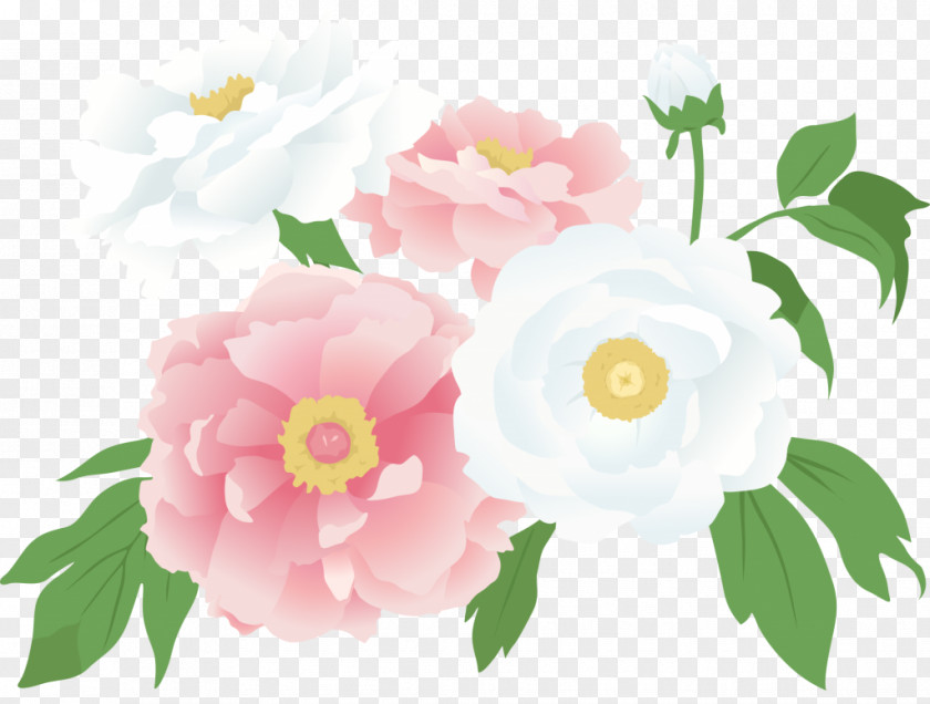 Flower Drawing Peony Garden Roses Inheritance Tax PNG