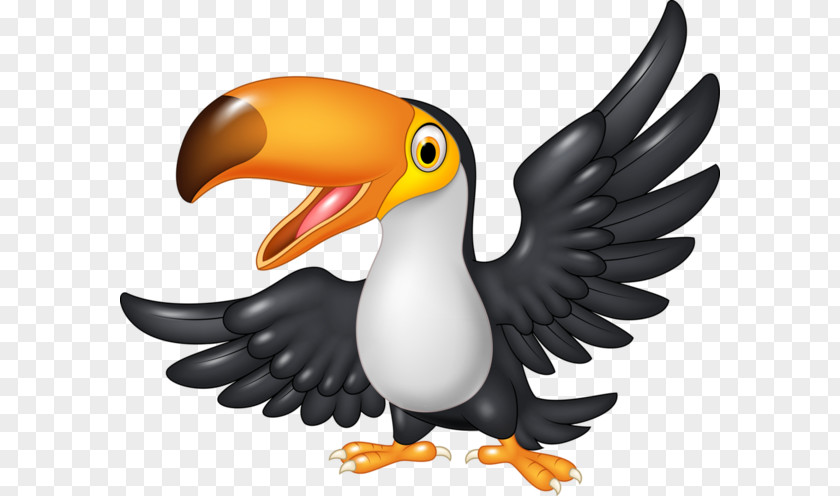 Funny Toucan Vector Graphics Royalty-free Clip Art Illustration PNG