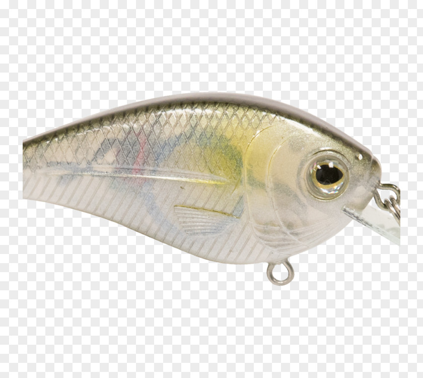 Livingston Lures Spoon Lure Oily Fish Perch AC Power Plugs And Sockets PNG