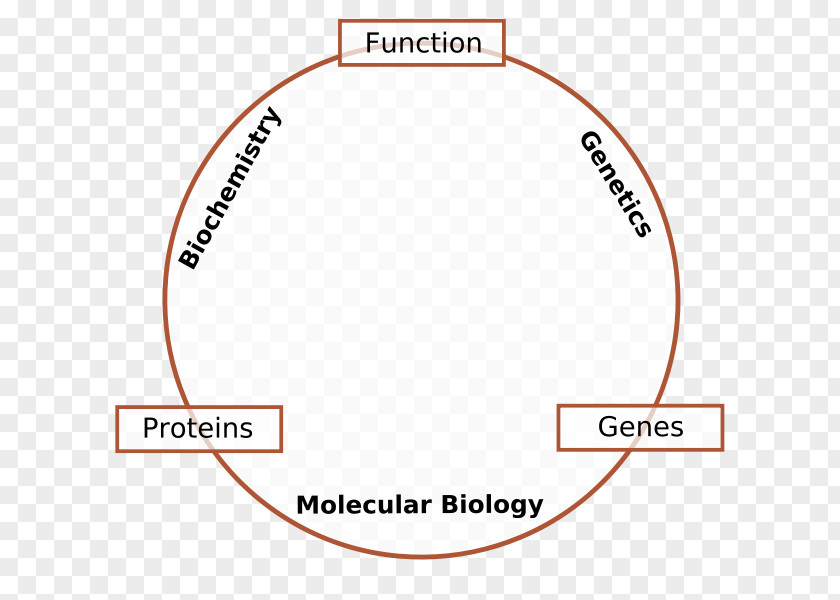 Molecular Biology Genetics Cell Molecule PNG