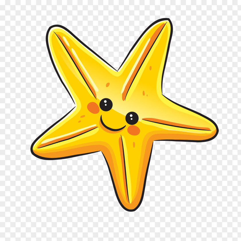 Starfish Animation PNG