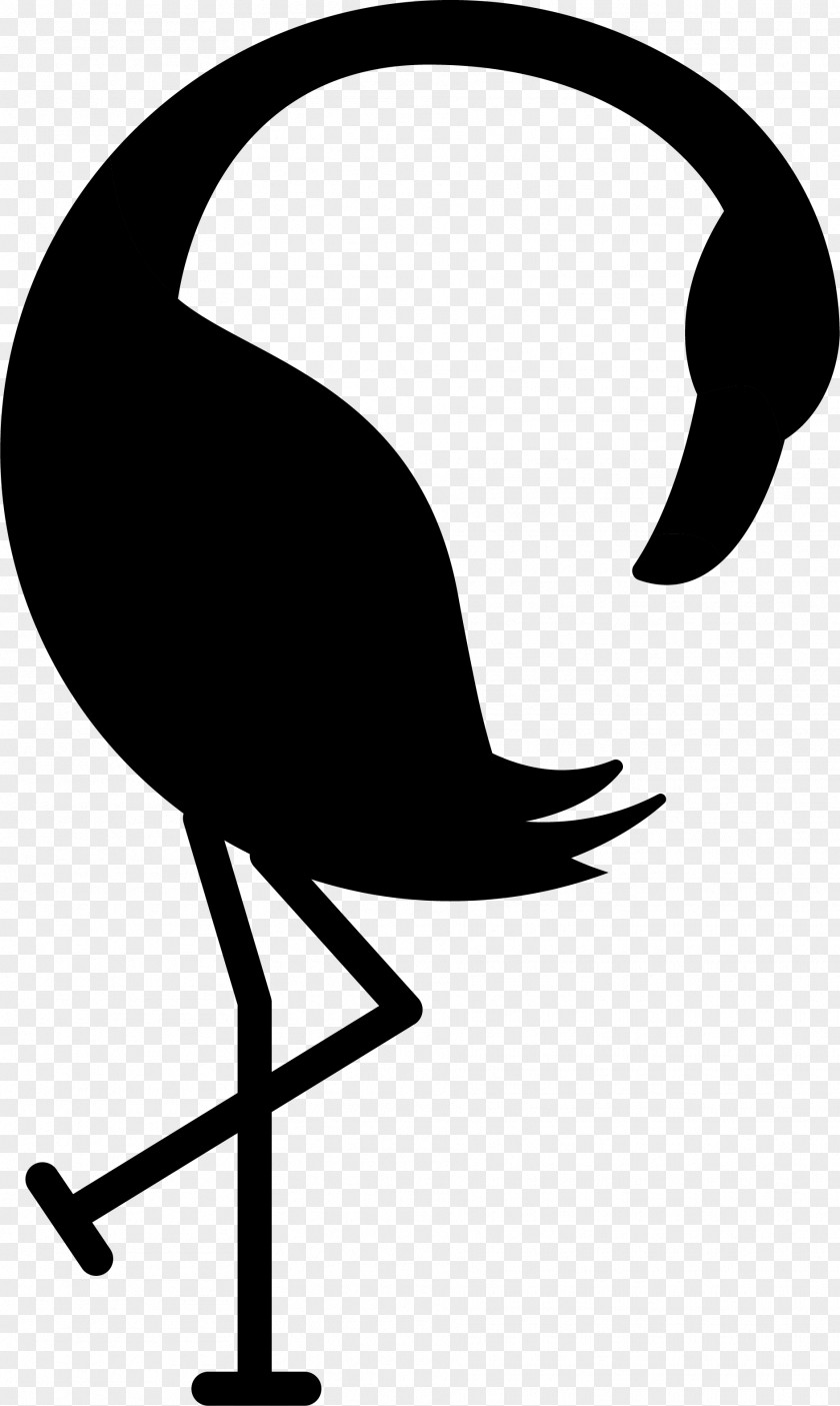 Swans Goose Bird Duck Beak PNG