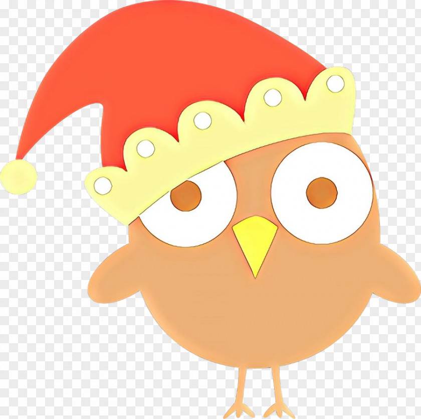 Beak Bird Of Prey Cartoon Owl PNG