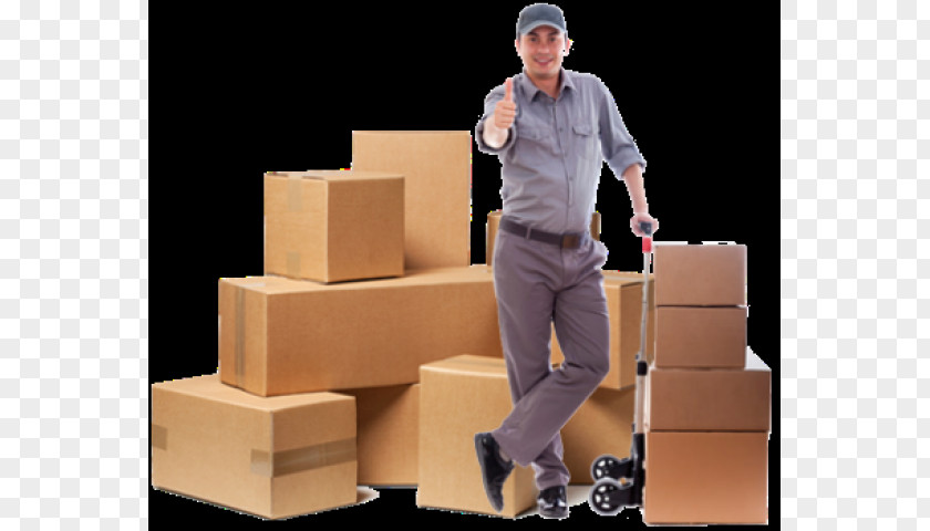 Box Packers & Movers Relocation Packaging And Labeling PNG