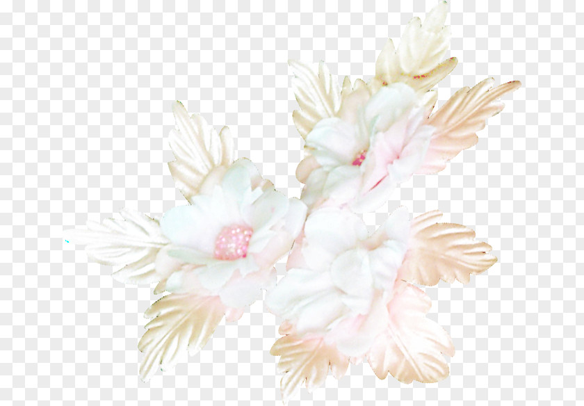 Flower Cut Flowers Floral Design Petal PNG