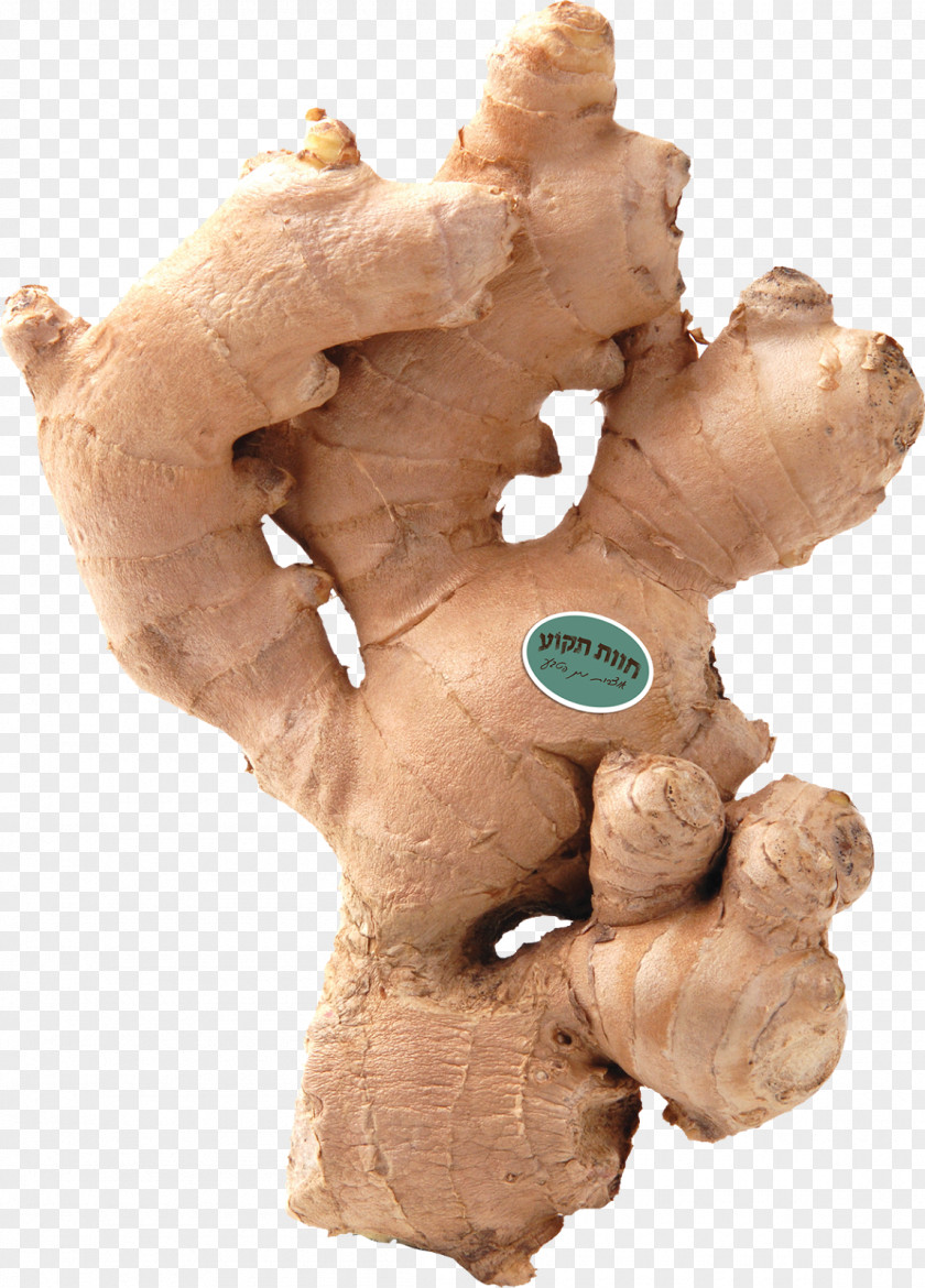 Health Benefits Of Garlic Ginger Root Vegetables Spice PNG