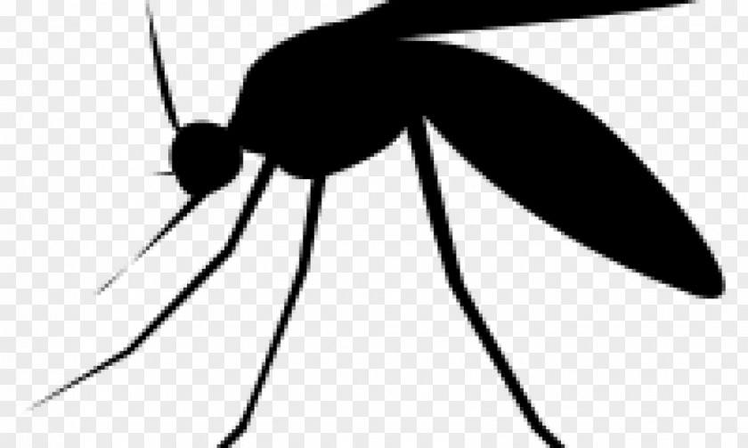 Mosquito Insect Pollinator Pest Control Clip Art PNG