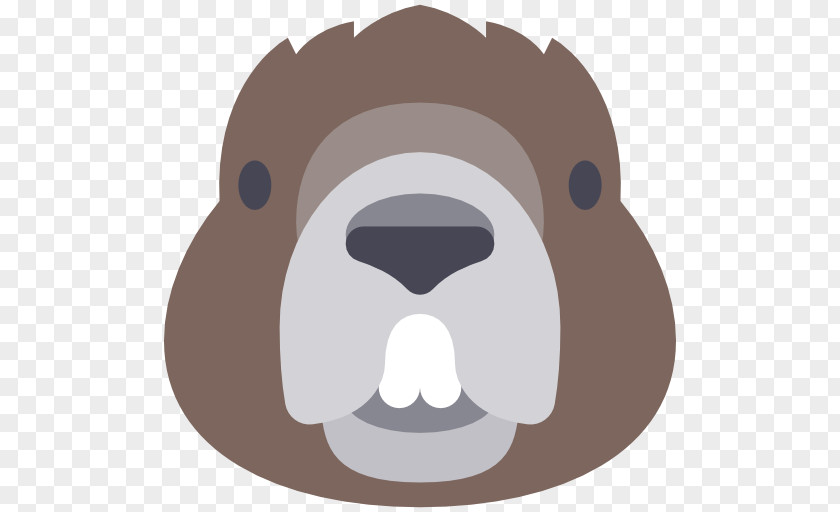 Beaver Ape Bear Animal PNG